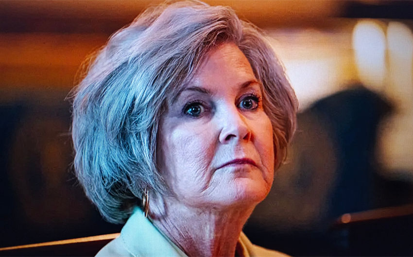 susie wiles net worth