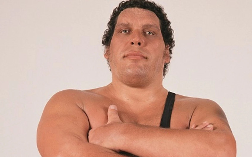 andre the giant wife